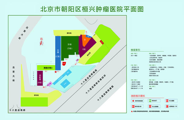 操逼逼几把视频北京市朝阳区桓兴肿瘤医院平面图